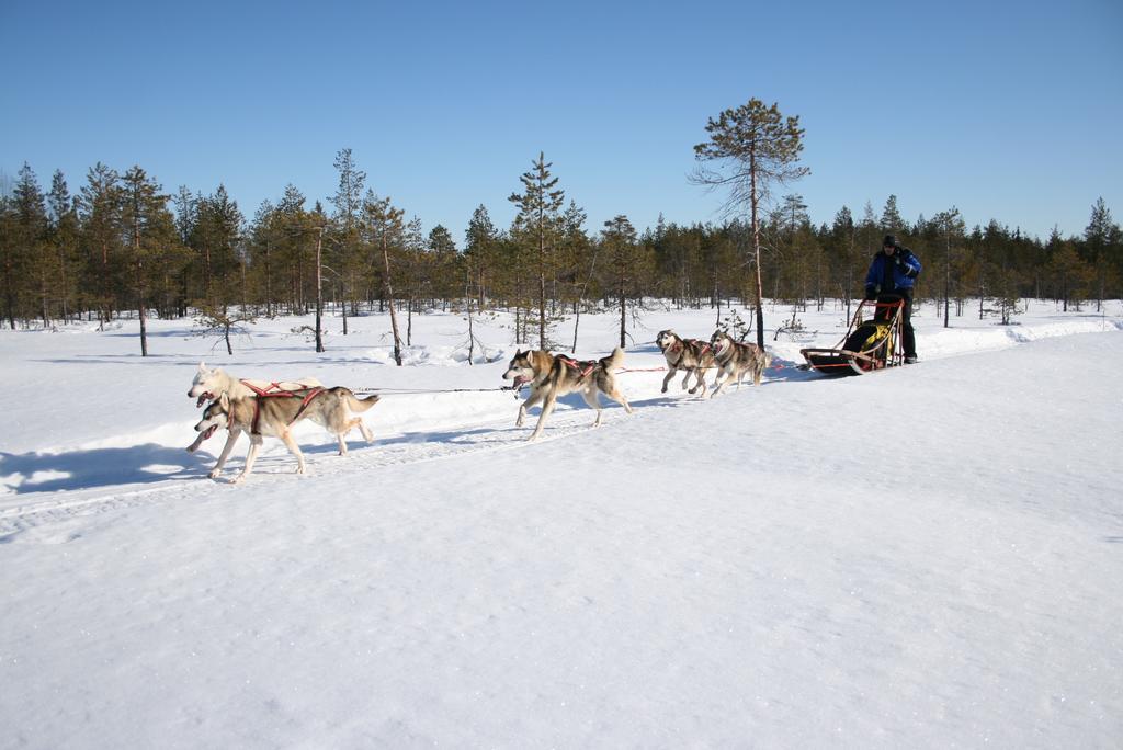 Loma-Vietonen Holiday Village Meltosjarvi Luaran gambar